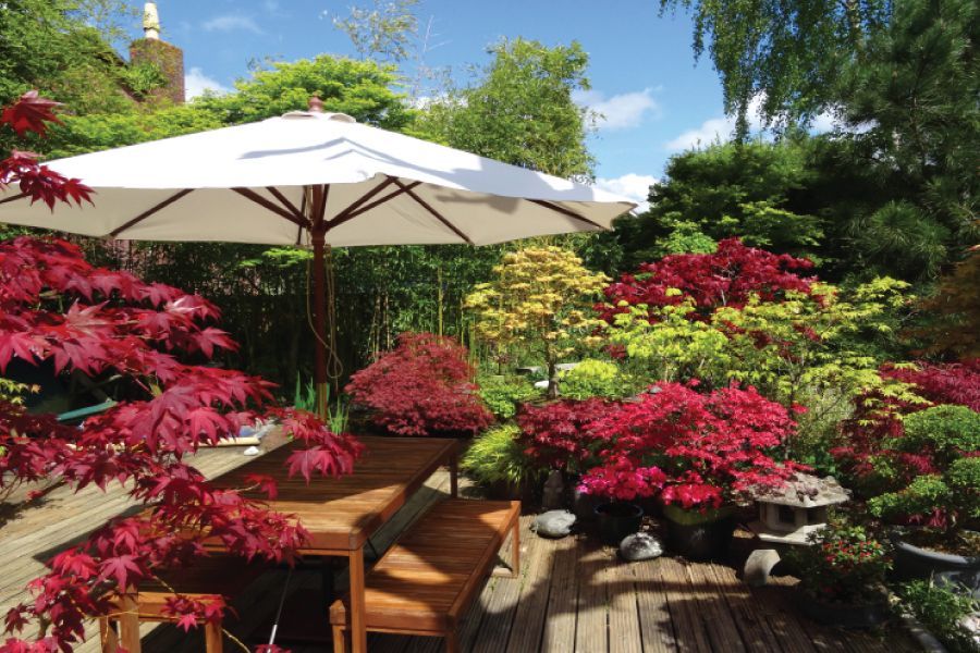 9 Areas of Focus for a Perfect Patio