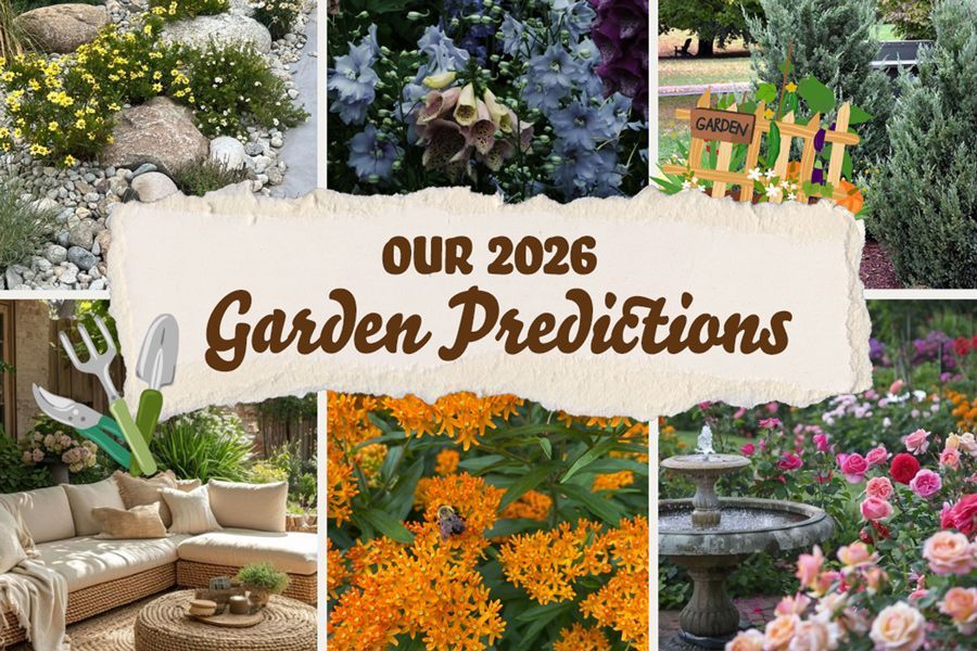 Tuesday Toolkit: 2026 Garden Trend Predictions