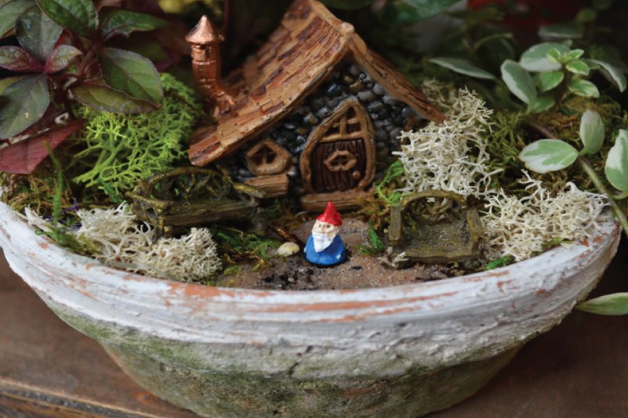 How to Build a Magical Fairy Garden