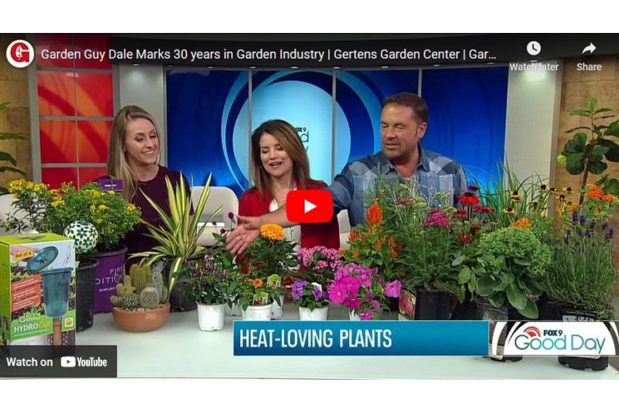 VIDEO: Garden Guy Dale Marks 30 years in Garden Industry | Gertens Garden Center