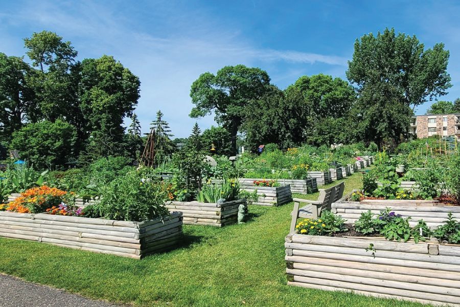 Top Ten Easy Steps to Success With a Raised Garden Bed