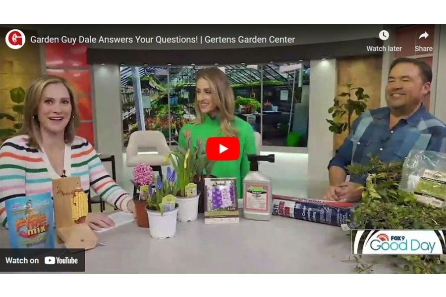 VIDEO: Garden Guy Dale Answers Your Questions!