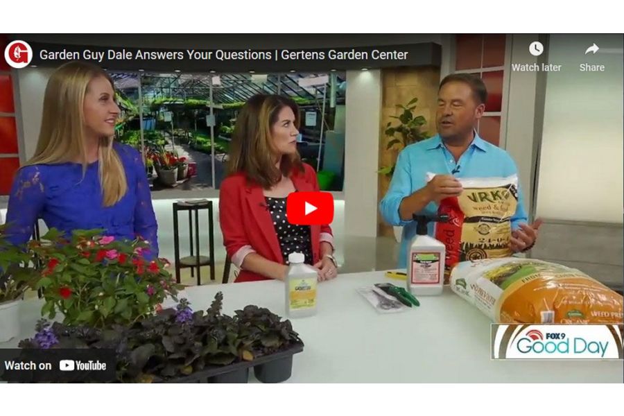 VIDEO: Garden Guy Dale Answers Your Questions