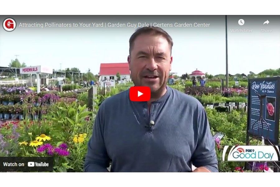 VIDEO: Attracting Pollinators to Your Yard | Garden Guy Dale