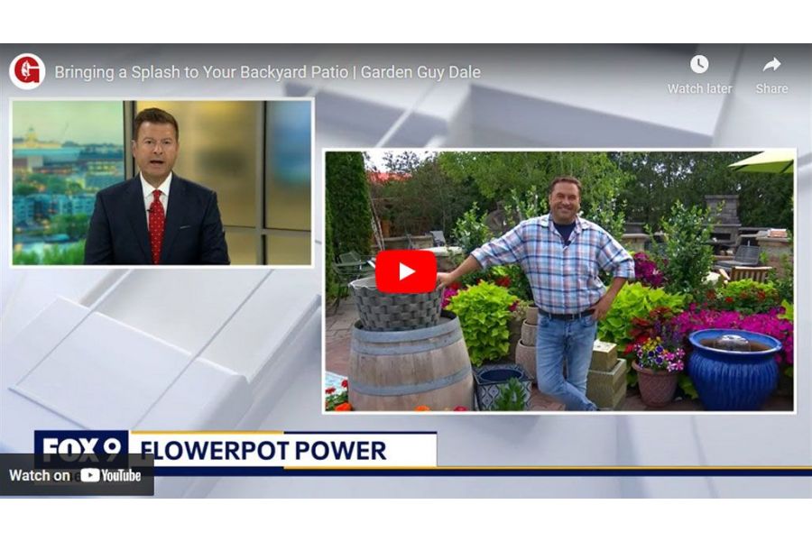 VIDEO: Bringing a Splash to Your Backyard Patio | Garden Guy Dale