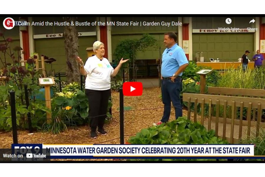 VIDEO: Calm Amid the Hustle & Bustle of the MN State Fair | Garden Guy Dale