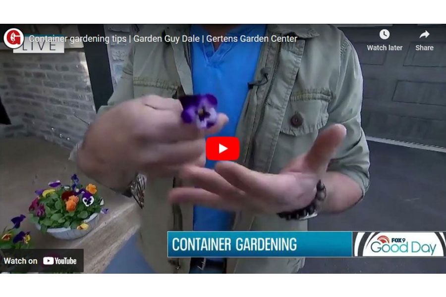 VIDEO: Container Gardening Tips | Garden Guy Dale