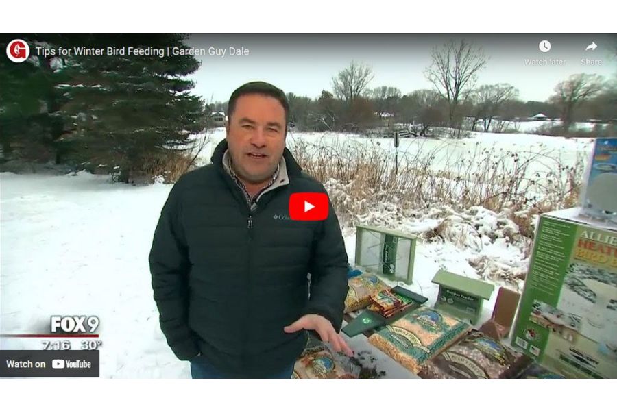 VIDEO: Dale Gives Tips on Winter Bird Feeding