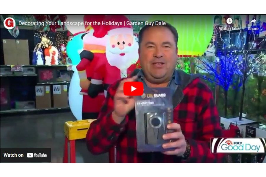 VIDEO: Decorating Your Landscape for the Holidays | Garden Guy Dale