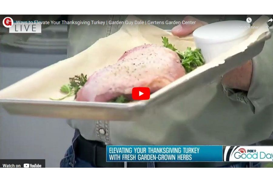 VIDEO: Ways to Elevate Your Thanksgiving Turkey | Garden Guy Dale