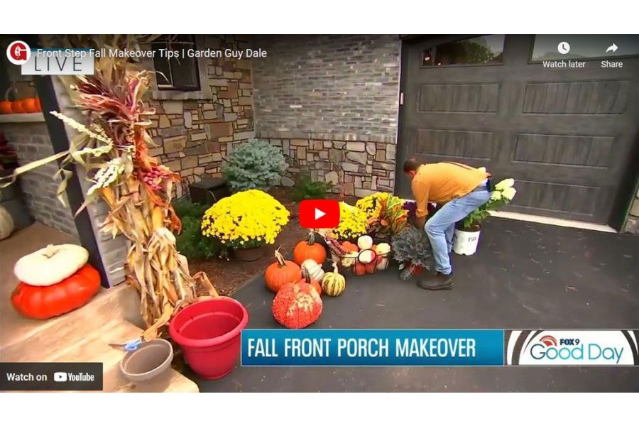 VIDEO: Front Step Fall Makeover Tips | Garden Guy Dale