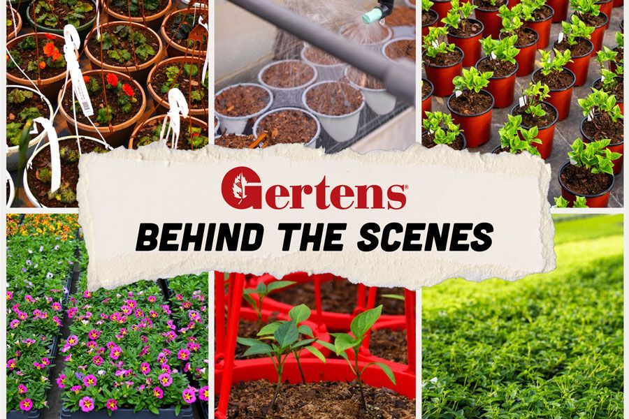 Tuesday Toolkit: Behind the Scenes at Gertens