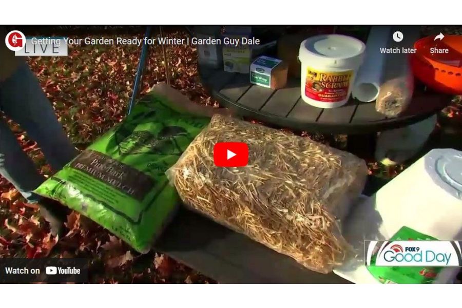 VIDEO: Getting Your Garden Ready for Winter | Garden Guy Dale