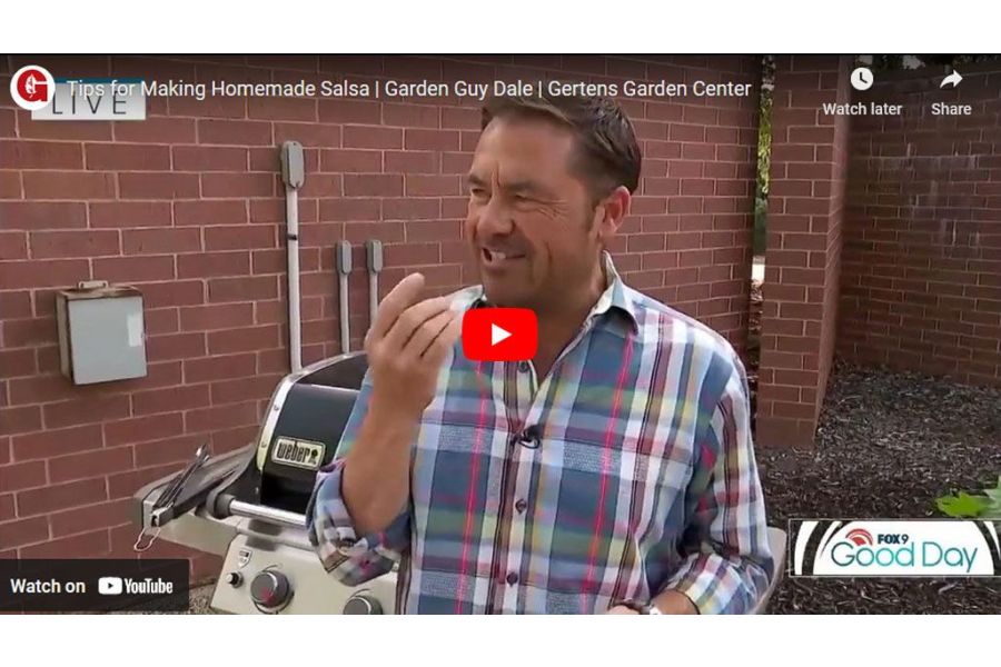 VIDEO: Tips for Making Homemade Salsa | Garden Guy Dale