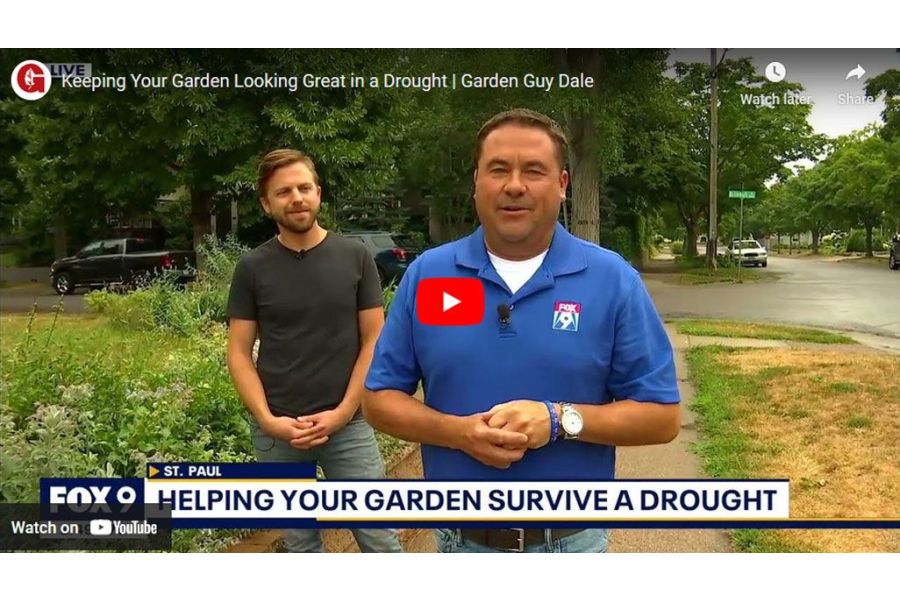 VIDEO: Keeping Your Garden Looking Great in a Drought | Garden Guy Dale