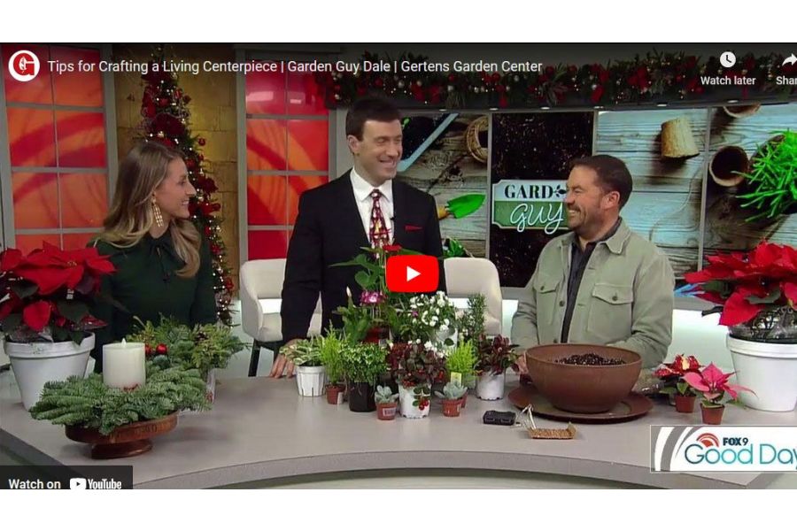 VIDEO: Tips for Crafting a Living Centerpiece | Garden Guy Dale