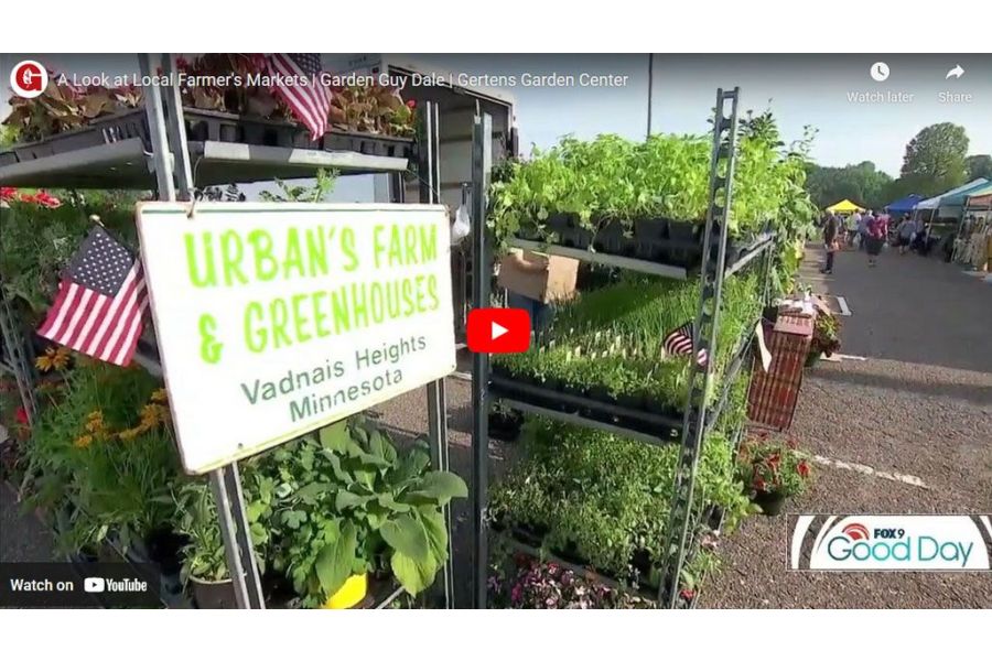 VIDEO: A Look at Local Farmer's Markets | Garden Guy Dale