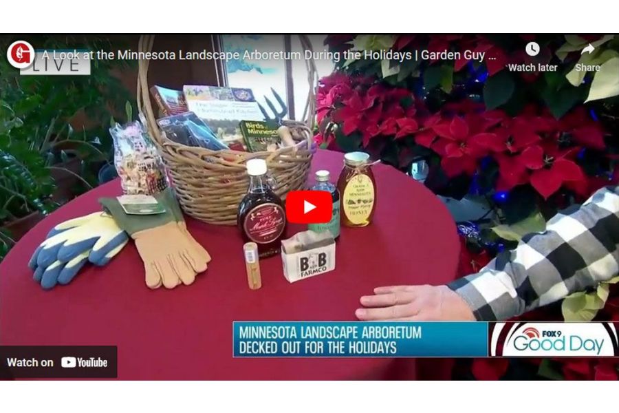 VIDEO: A Look at the Minnesota Landscape Arboretum During the Holidays | Garden Guy Dale