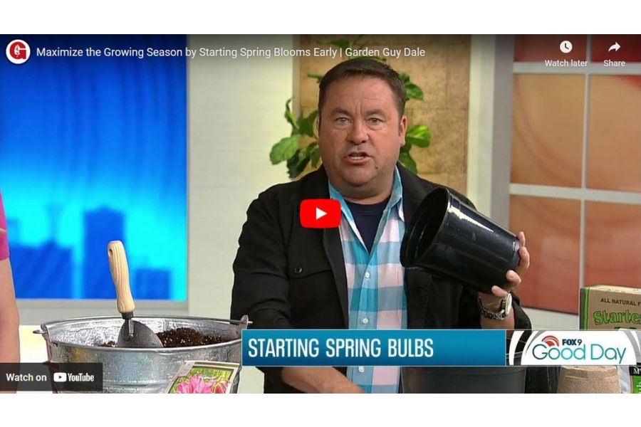 VIDEO: Maximize the Growing Season by Starting Spring Blooms Early | Garden Guy Dale