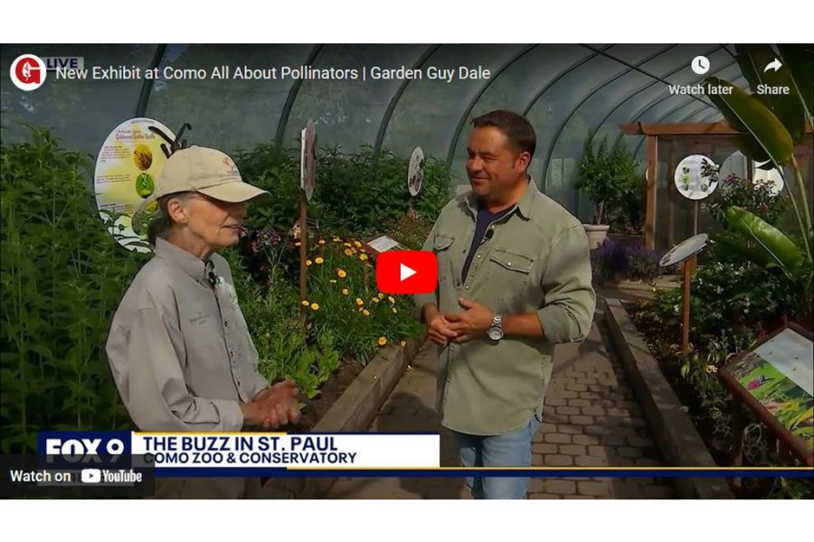 VIDEO: New Exhibit at Como All About Pollinators | Garden Guy Dale