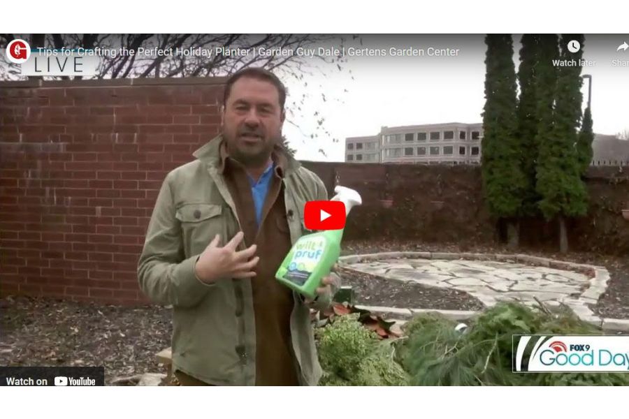 VIDEO: Tips for Crafting the Perfect Holiday Planter | Garden Guy Dale