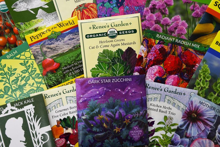 The Garden Scoop - Seed Starting