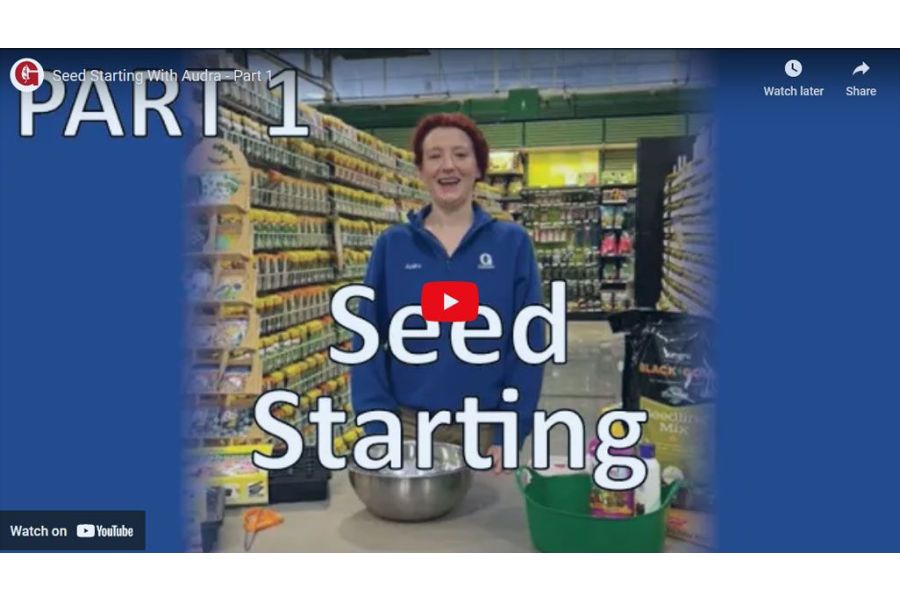 VIDEO: Tips for Seed Starting Indoors