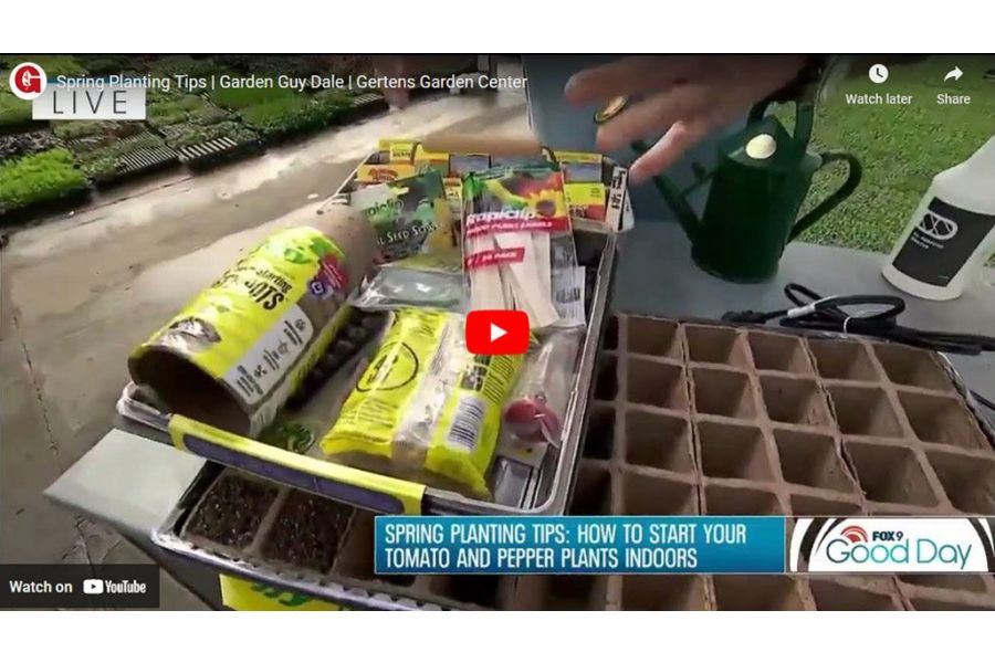 VIDEO: Spring Planting Tips | Garden Guy Dale