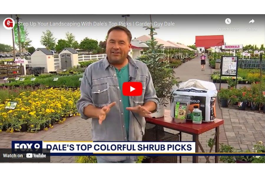 VIDEO: Step Up Your Landscaping With Dale's Top Picks | Garden Guy Dale