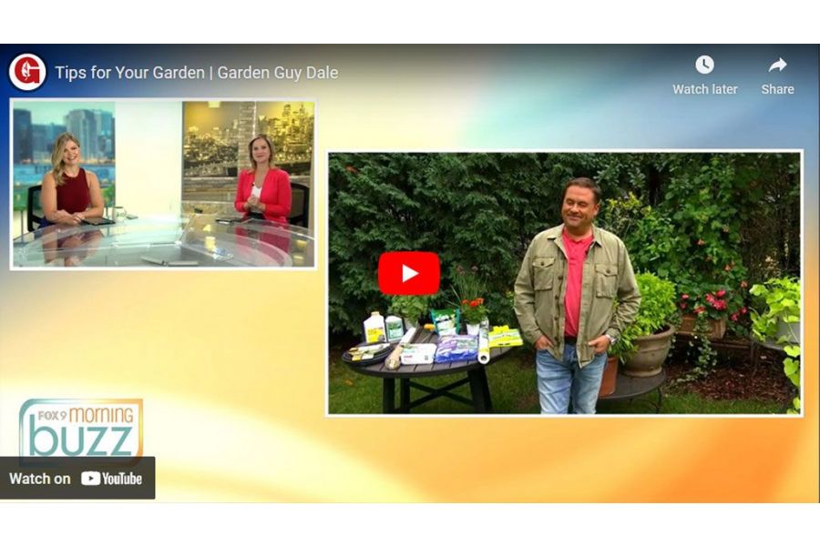 VIDEO: Tips for Your Garden | Garden Guy Dale