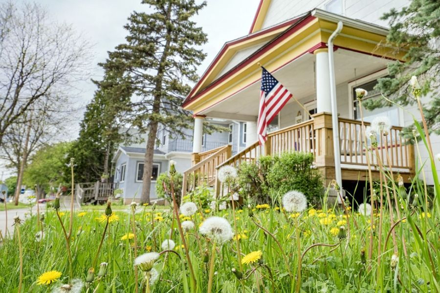 The Garden Scoop - No Mow May: Yay or Nay?