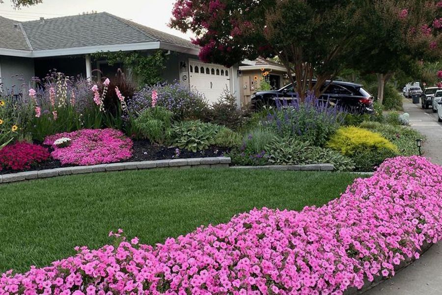 Tuesday Toolkit: Annuals & Styling Trends