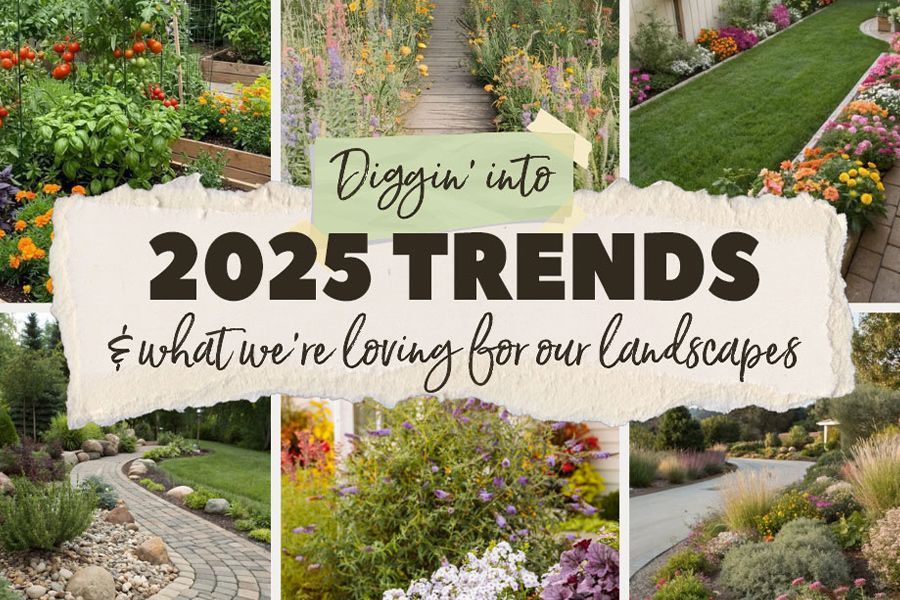 Tuesday Toolkit: 2025 Landscape Design Trends