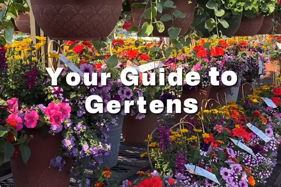 Gertens Guide to Spring Shopping