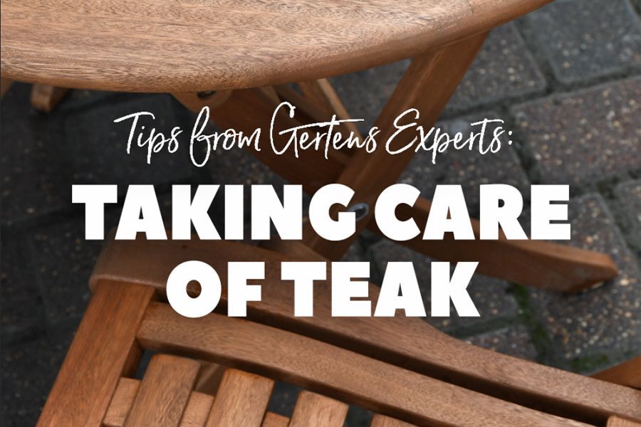 Tuesday Toolkit: Taking Care of Teak