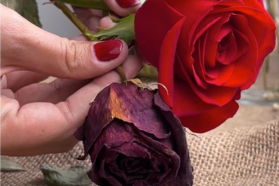 Tuesday Toolkit: Drying Your Bouquet