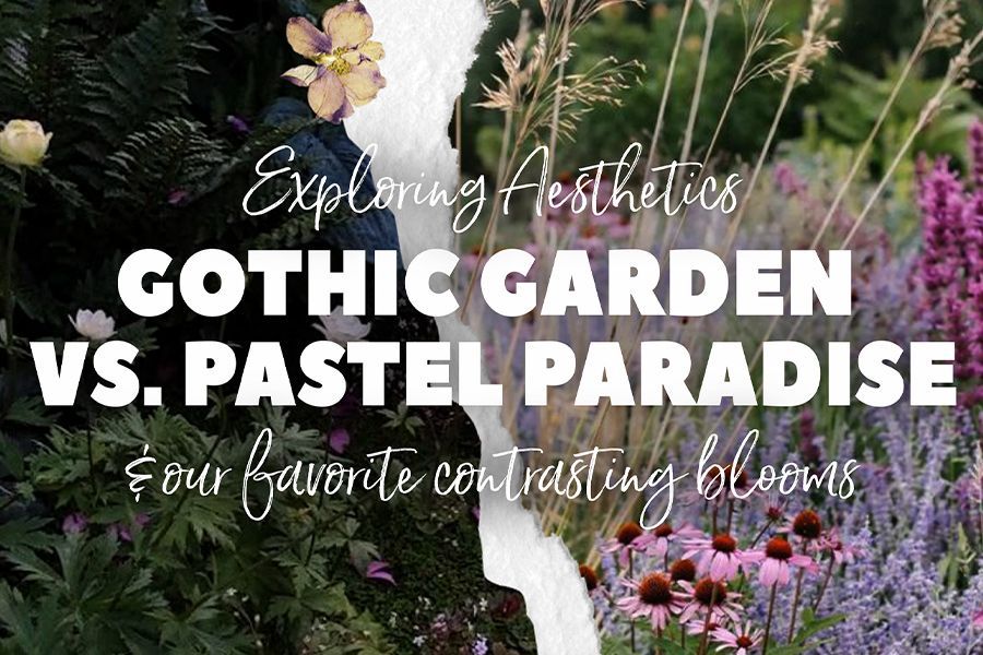 Tuesday Toolkit: Gothic Garden vs. Pastel Paradise