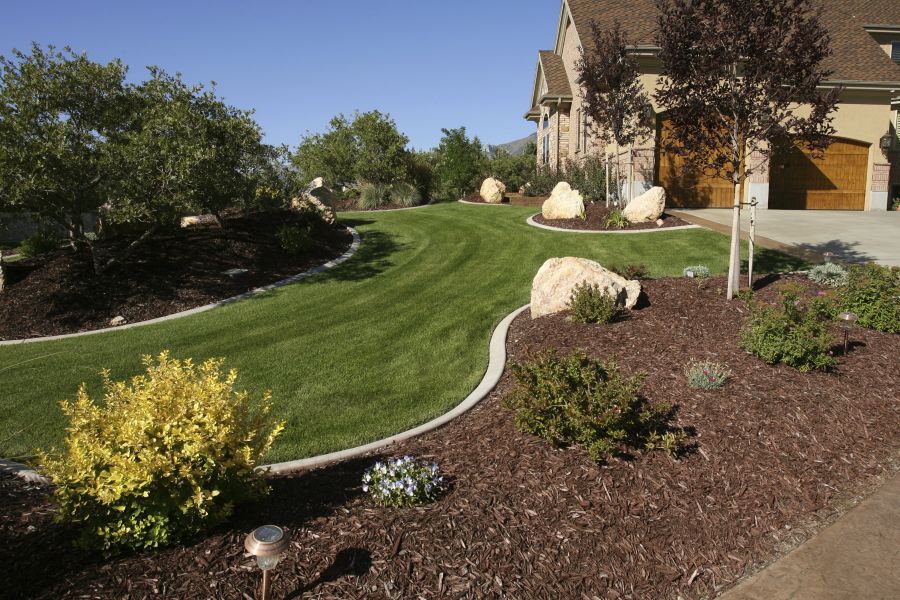 Fall Tips for Healthy Lawns