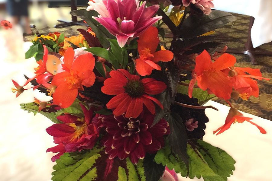 Top Ten Perennials for Cut Flower Arrangements