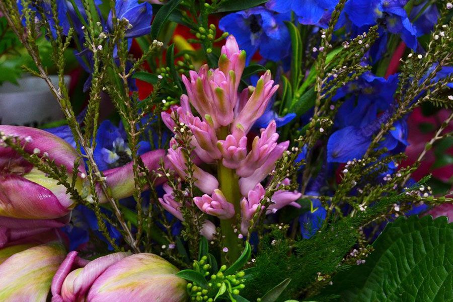 Top Ten Perennials for Cut Flower Arrangements