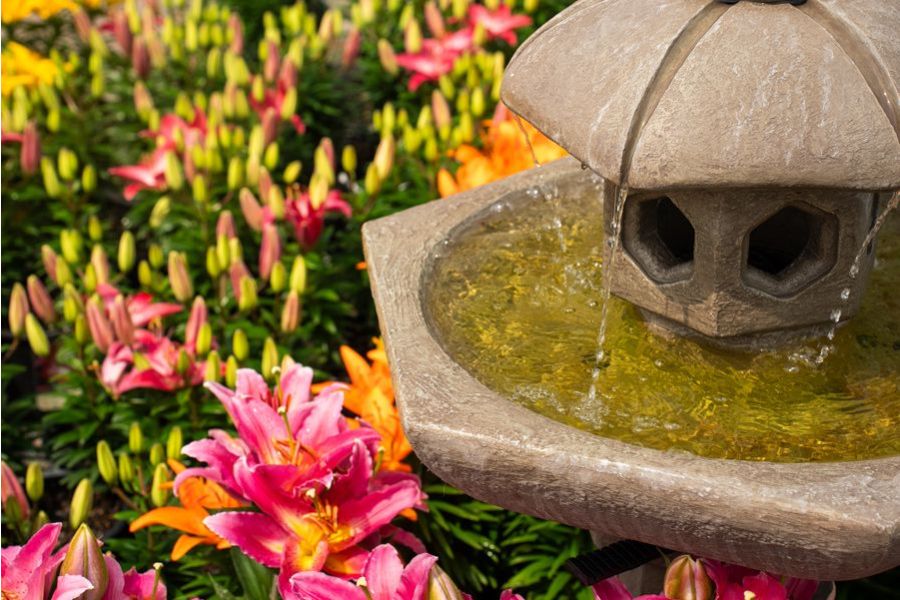 Tuesday Toolkit: Pollinator Paradise