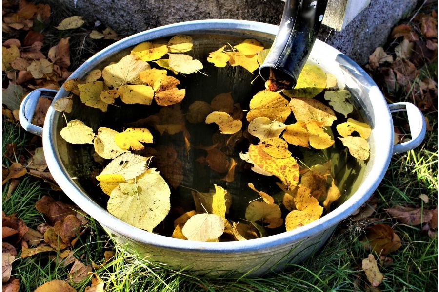 Rain Barrels