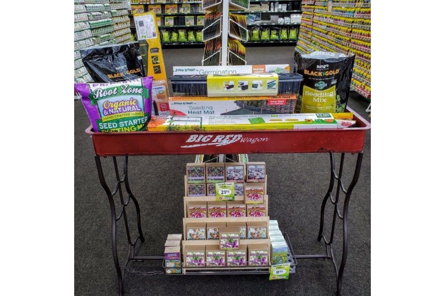 The Garden Scoop - Seed Starting