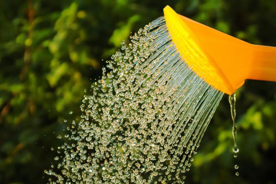 Tuesday Toolkit: Water Saving Strategies