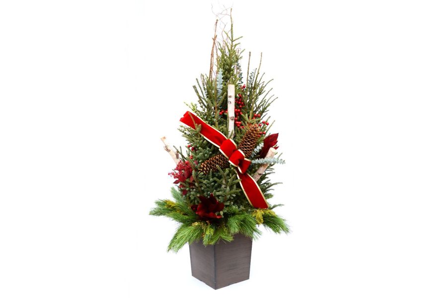 How to Create a Holiday Spruce Tip Pot