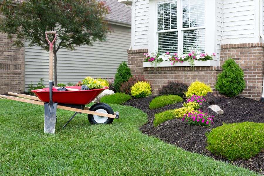 THE GARDEN SCOOP: Drought Stressed Plants