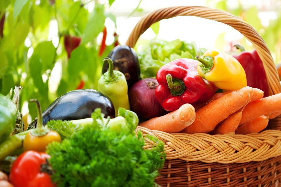 Tuesday Toolkit: Start a Veggie Garden Today