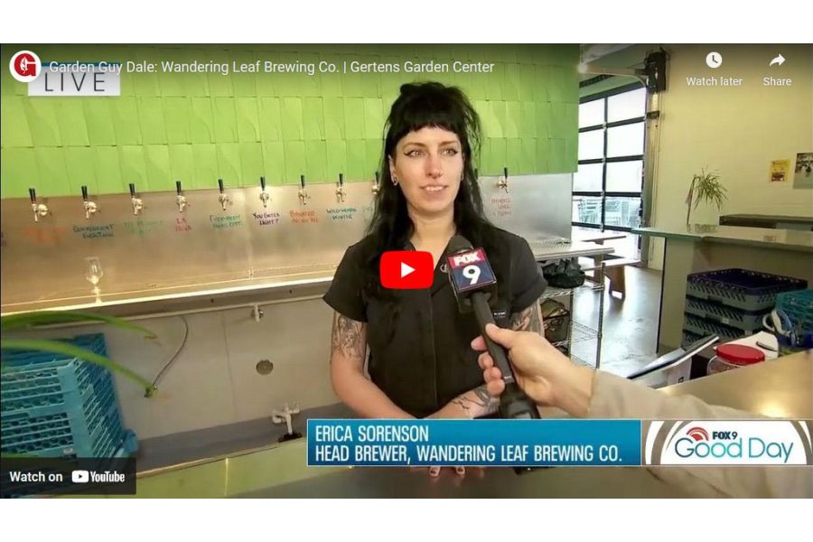 VIDEO: Wandering Leaf Brewing Co. | Garden Guy Dale