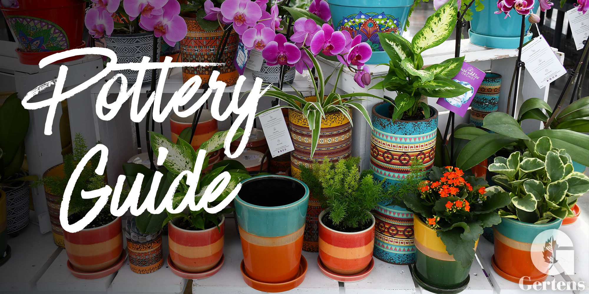 Pots & Planters at