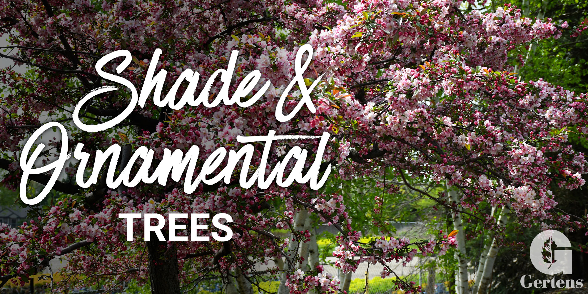 Shade & Ornamental